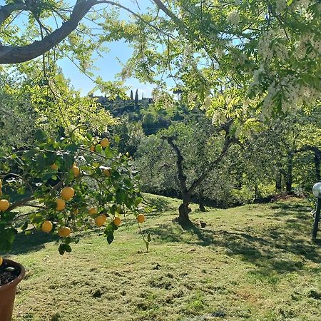 Le Massucce San Casciano in Val di Pesa Esterno foto