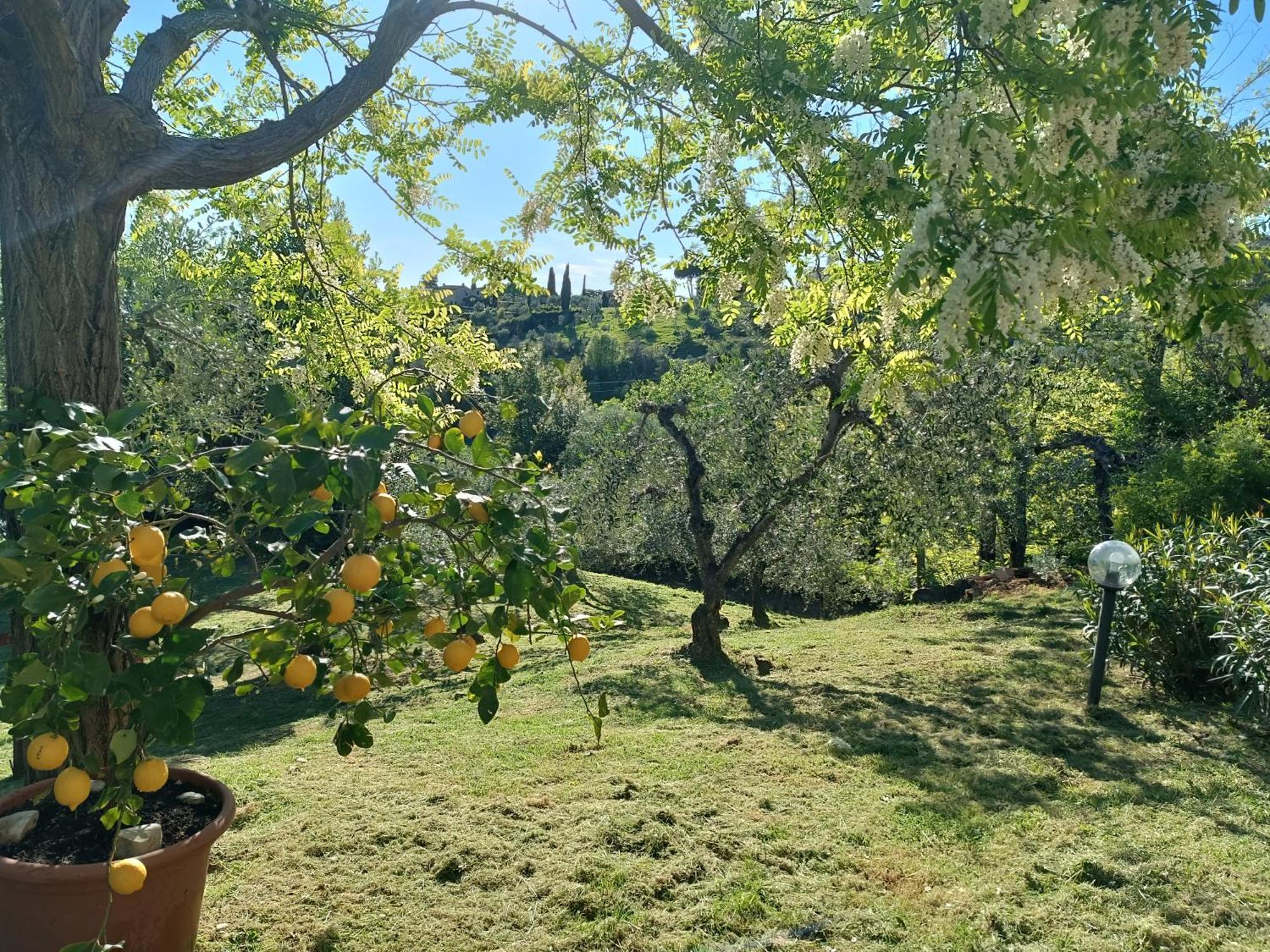 Le Massucce San Casciano in Val di Pesa Esterno foto