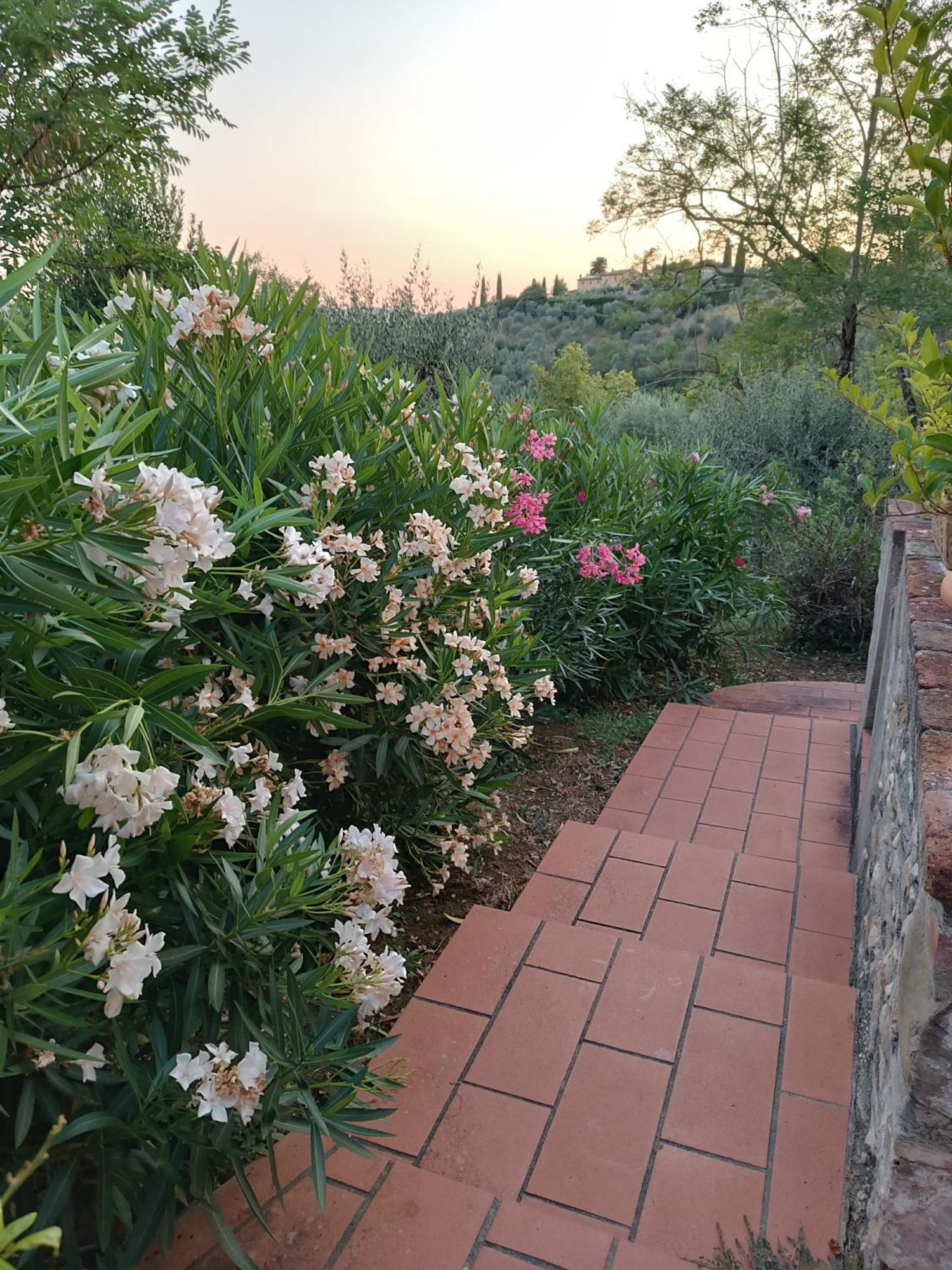 Le Massucce San Casciano in Val di Pesa Esterno foto