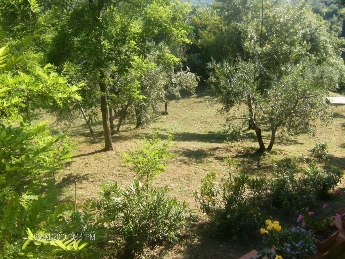 Le Massucce San Casciano in Val di Pesa Esterno foto