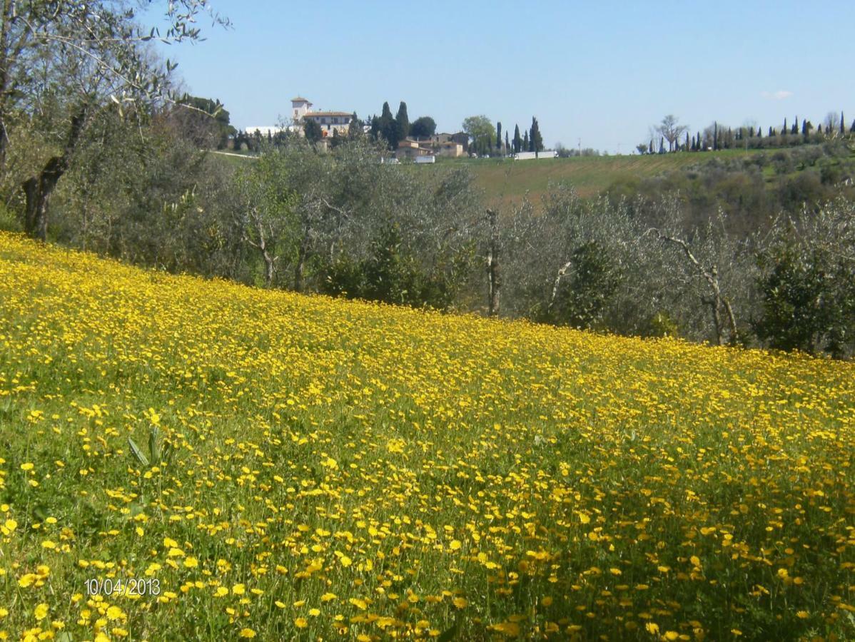 Le Massucce San Casciano in Val di Pesa Esterno foto