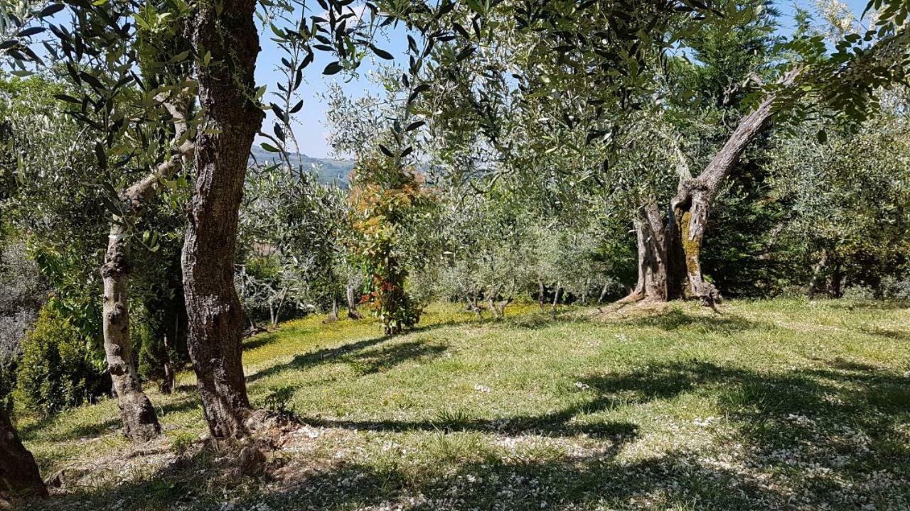 Le Massucce San Casciano in Val di Pesa Esterno foto