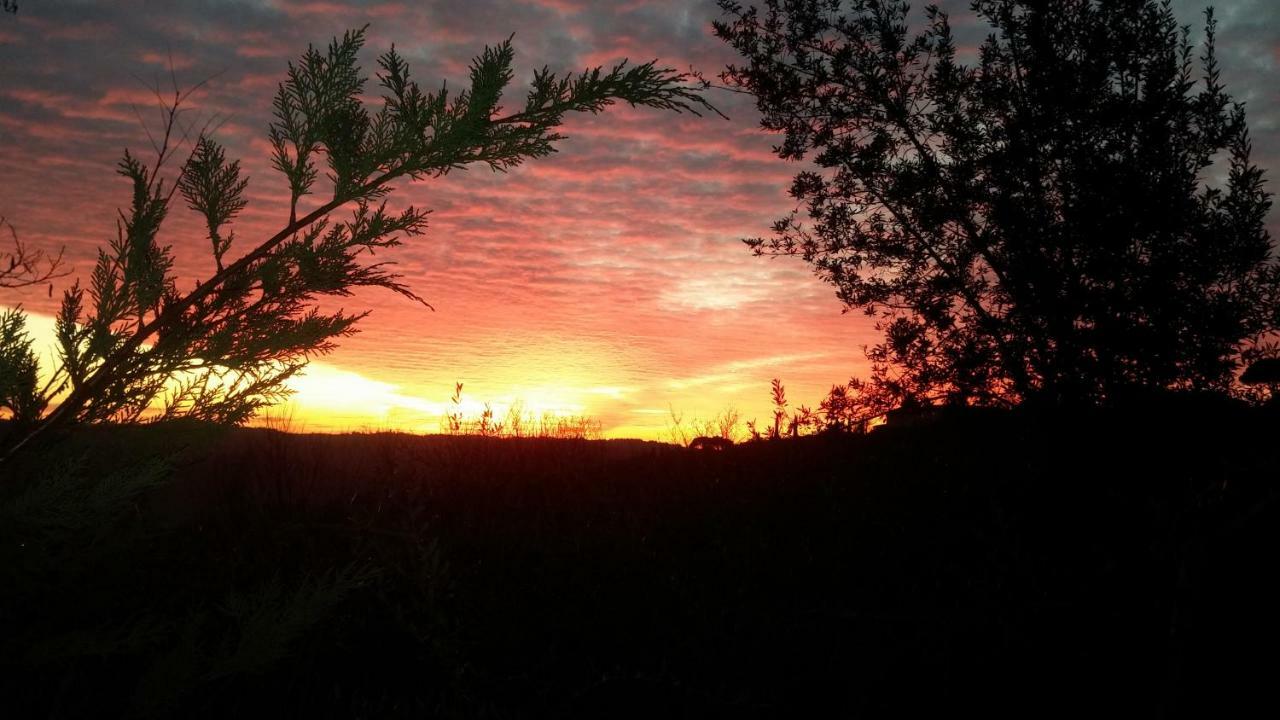 Le Massucce San Casciano in Val di Pesa Esterno foto